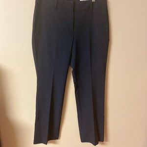 Ann Taylor Factory Slack Bundle